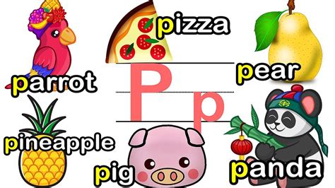 p是第幾個字母|英文字母